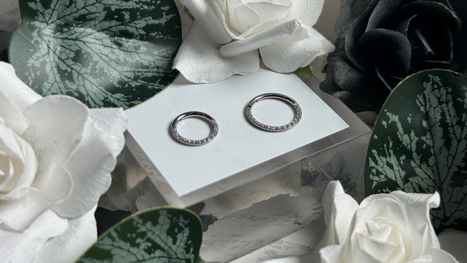 Septum