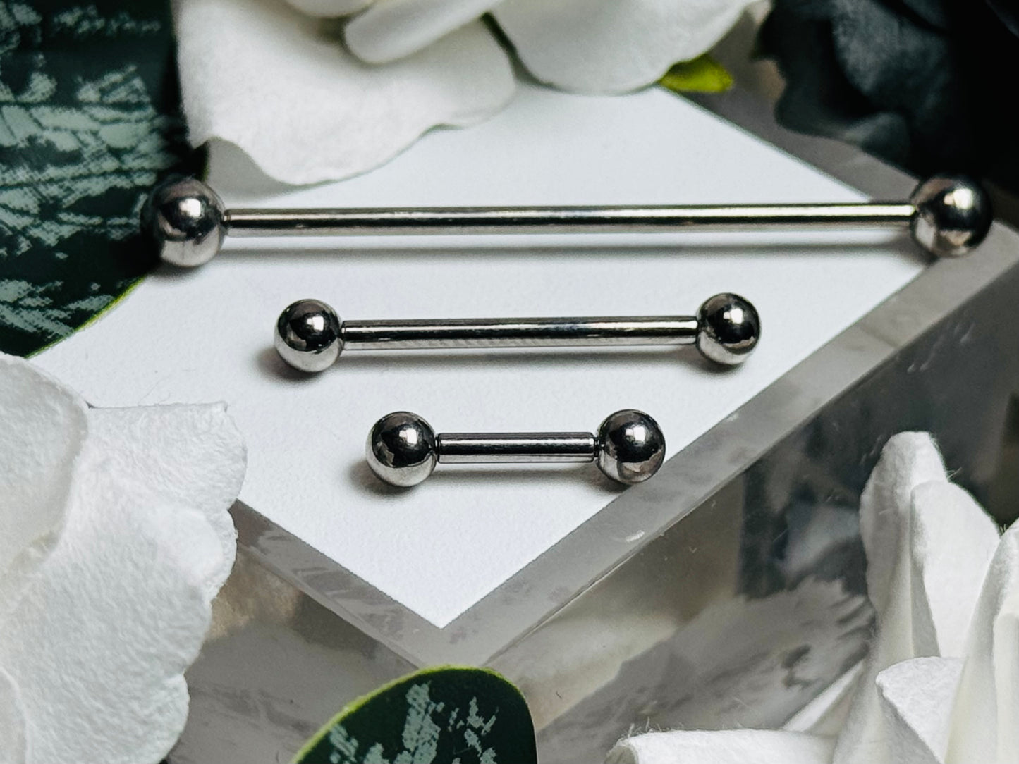 Internally Threaded Barbells (WITH BALLS)