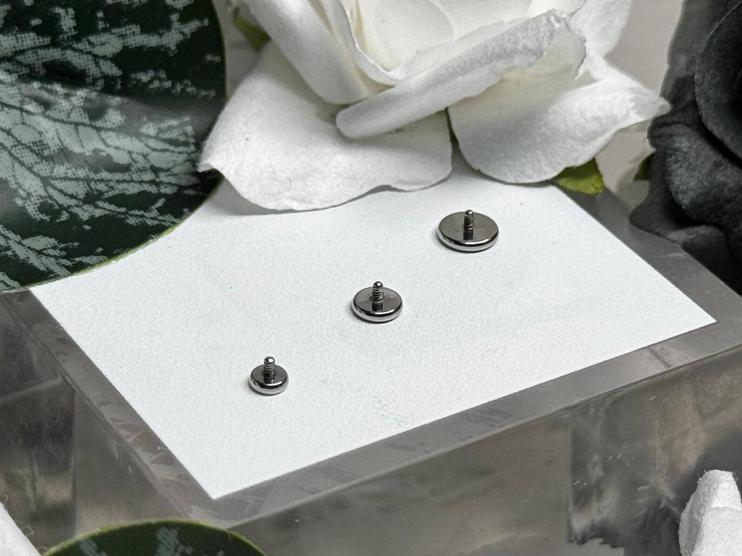 Flat Titanium Discs - (16G +14G)
