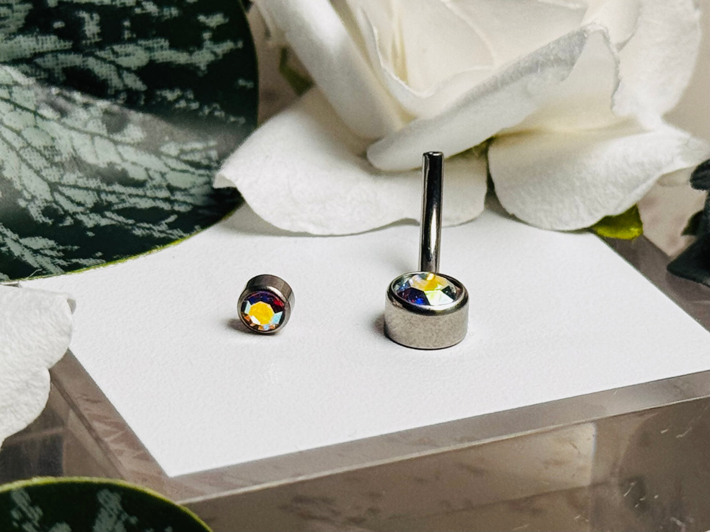 The Classics– Signature Navel Collection