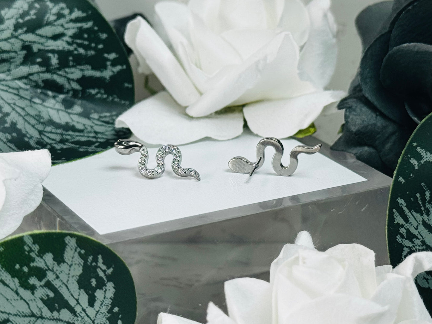 Paved CZ Snake