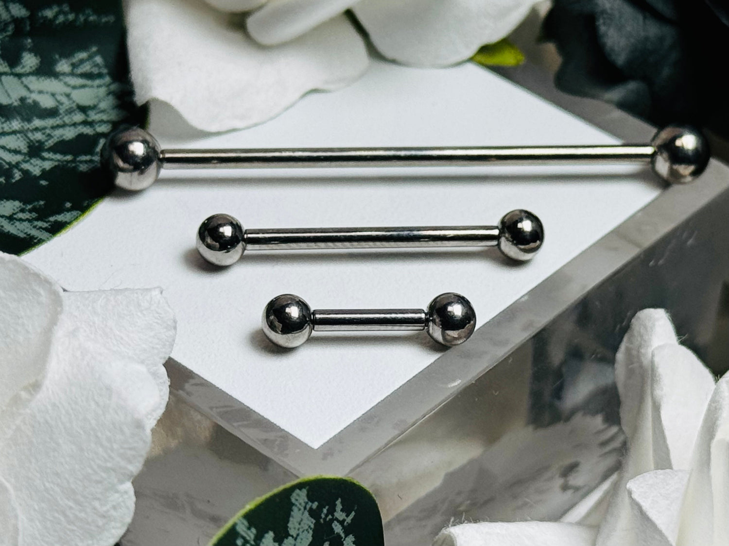Internally Threaded Barbells