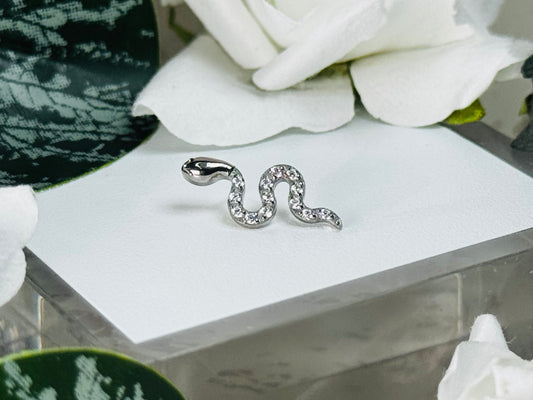 Paved CZ Snake